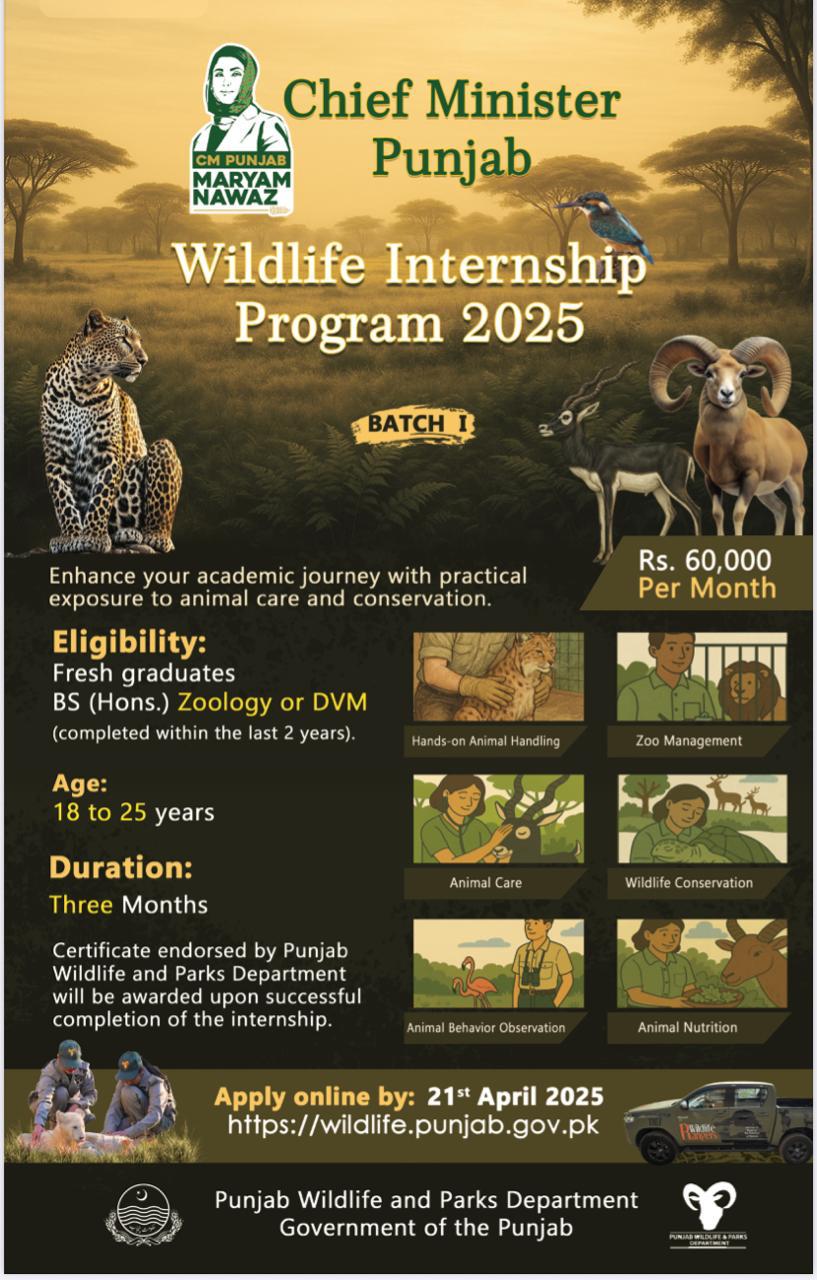 Wildlife Internship Image